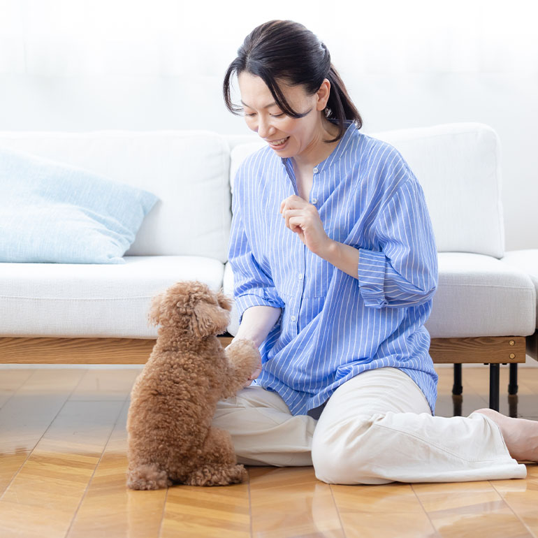 ワクワクがつながる、みんなで幸せなペットライフを。