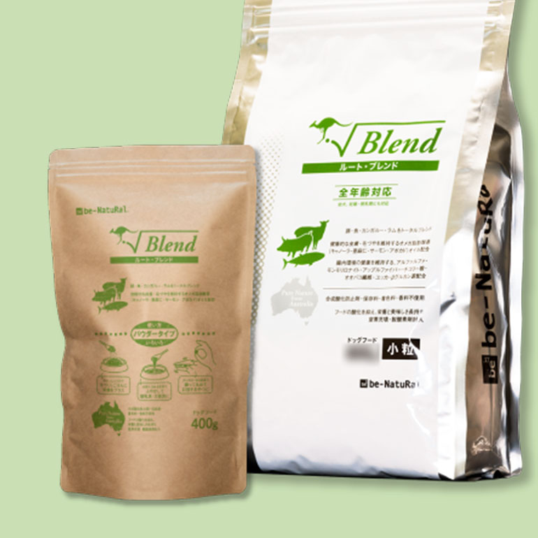 日本のワンちゃんのために生まれたドッグフード「ビィ・ナチュラル ルートシリーズ」。