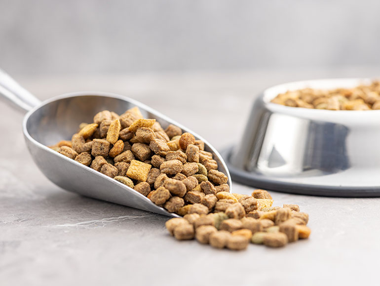 Promise 02|一緒にその子のちょうどいい食事を考えます。