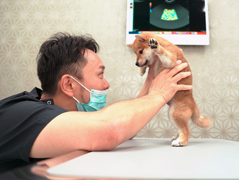 サポ－ト４｜いざという時も安心の医療連携