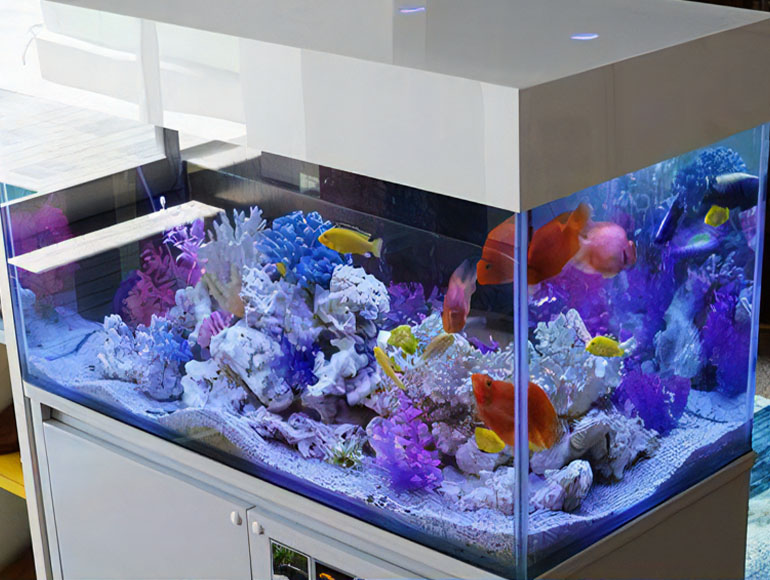 ショップ情報｜個人向けアクアリウム販売・設置・メンテナンス