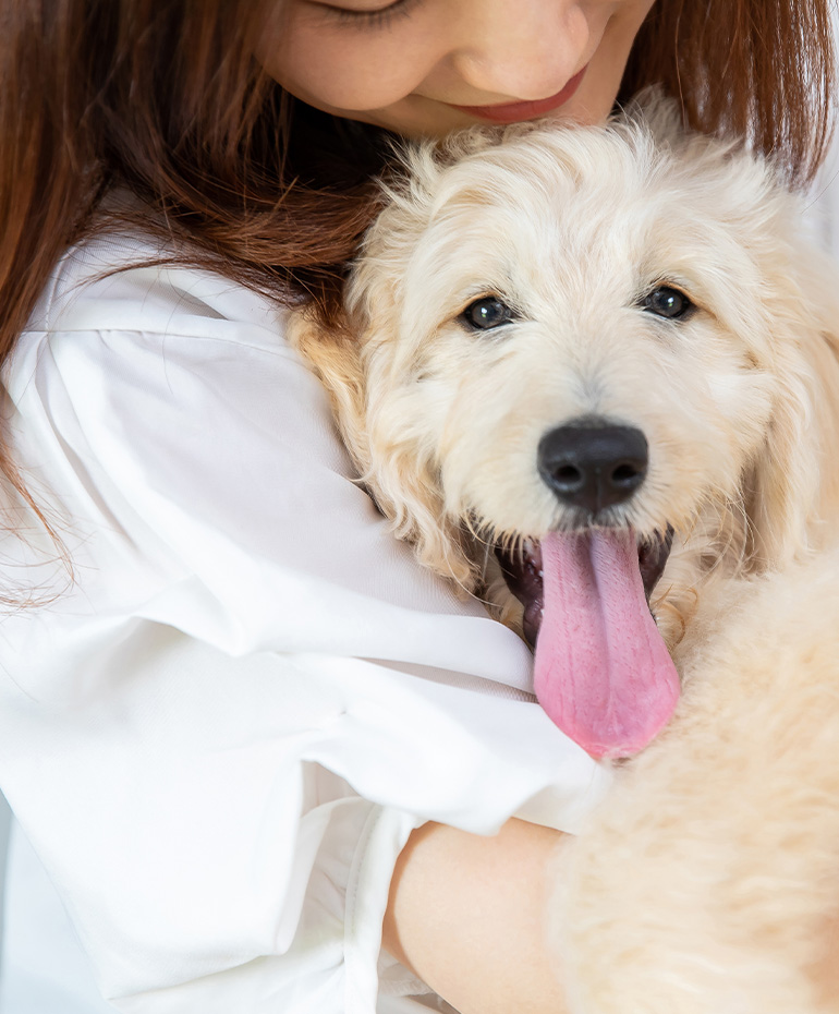 小さな命と向き合う幸せなペットライフ