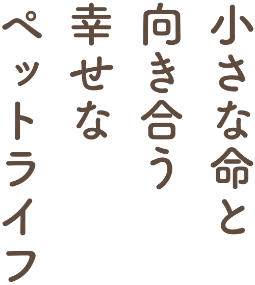小さな命と向き合う幸せなペットライフ