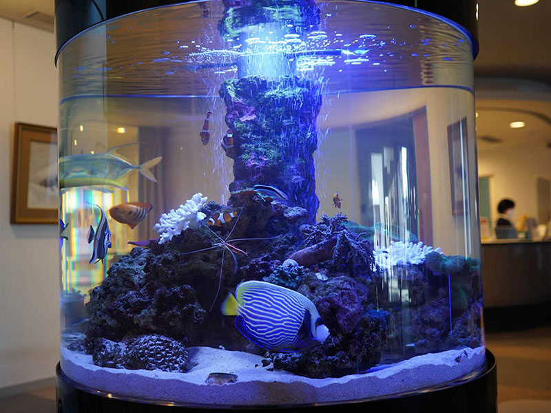 その他サービス｜法人向け事業