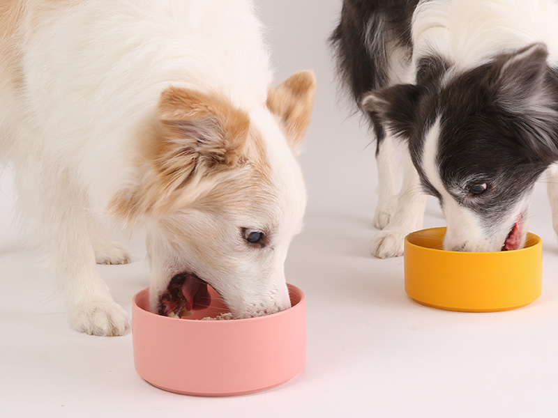 サービス２｜ワンちゃんの食事で健康サポート