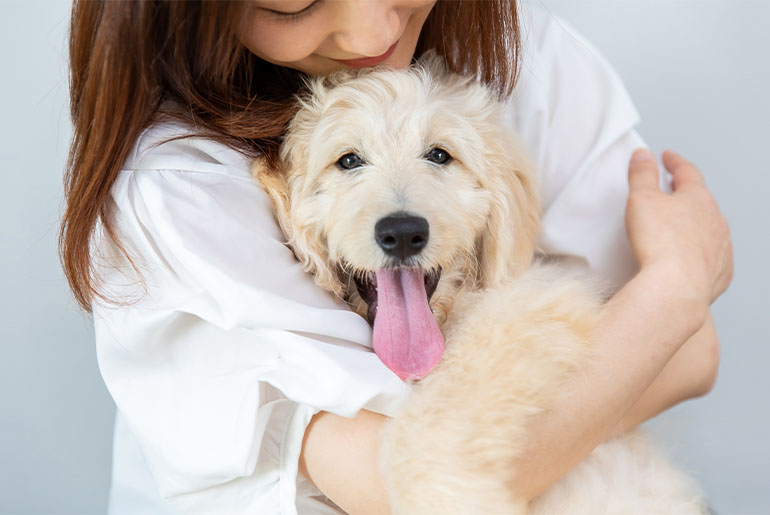 ペットライフイシハラのMission story