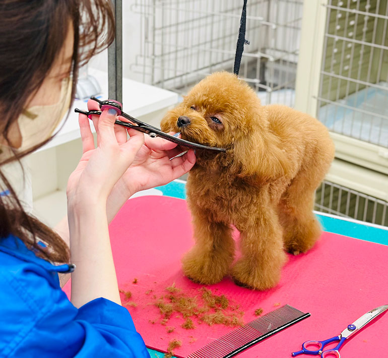 「かわいくする」だけじゃない、健康も、心も整えます。