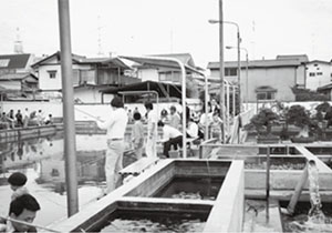 3代目邦弘の頃の賑わう釣り堀